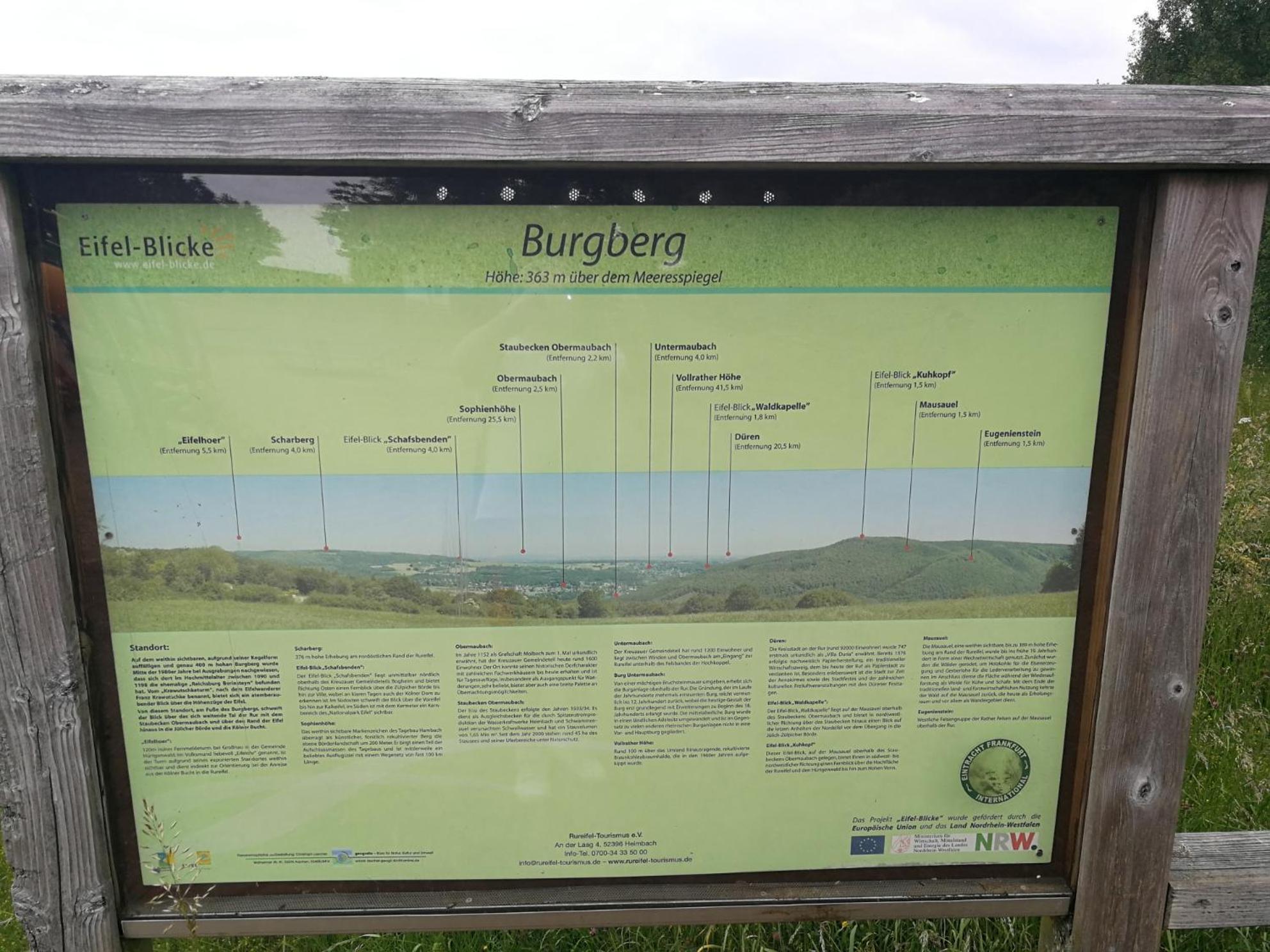 Das Burgberghaus Apartment Talaue 1.Og Bergstein Esterno foto