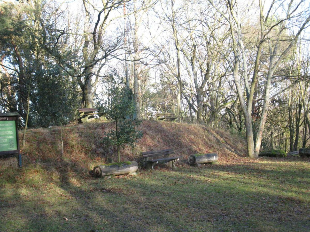 Das Burgberghaus Apartment Talaue 1.Og Bergstein Esterno foto